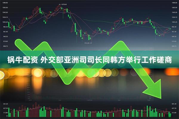 锅牛配资 外交部亚洲司司长同韩方举行工作磋商